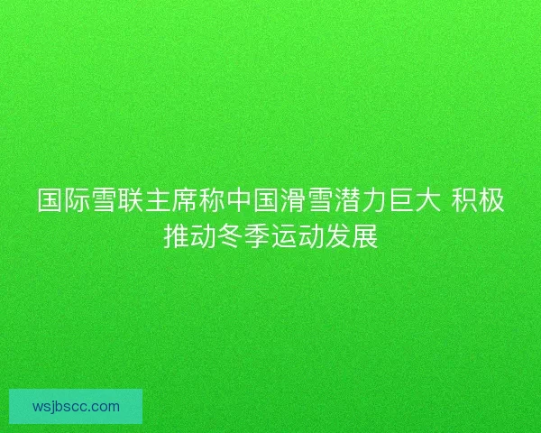 国际雪联主席称中国滑雪潜力巨大 积极推动冬季运动发展